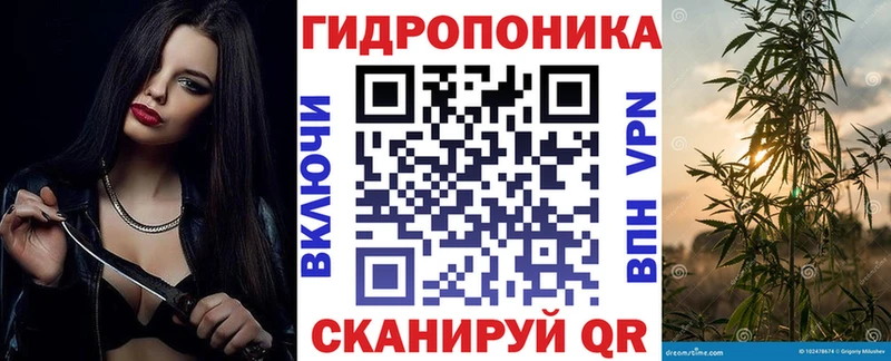 Купить закладку Альфа ПВП Мефедрон НБОМе Бошки Шишки Зубцов