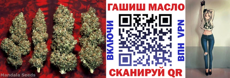 ТГК гашишное масло  Купить где  Зубцов 