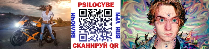 Купить закладки Зубцов Псилоцибиновые грибы Psilocybe
